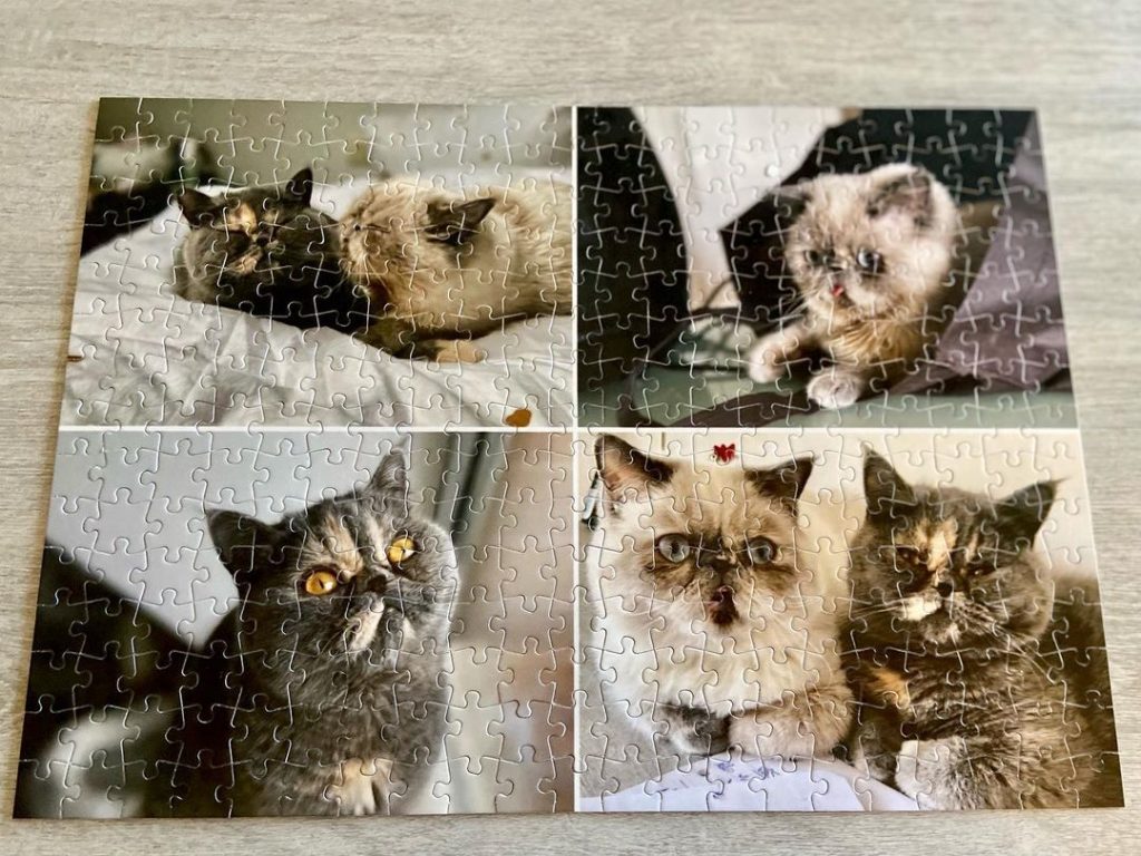puzzle-chat