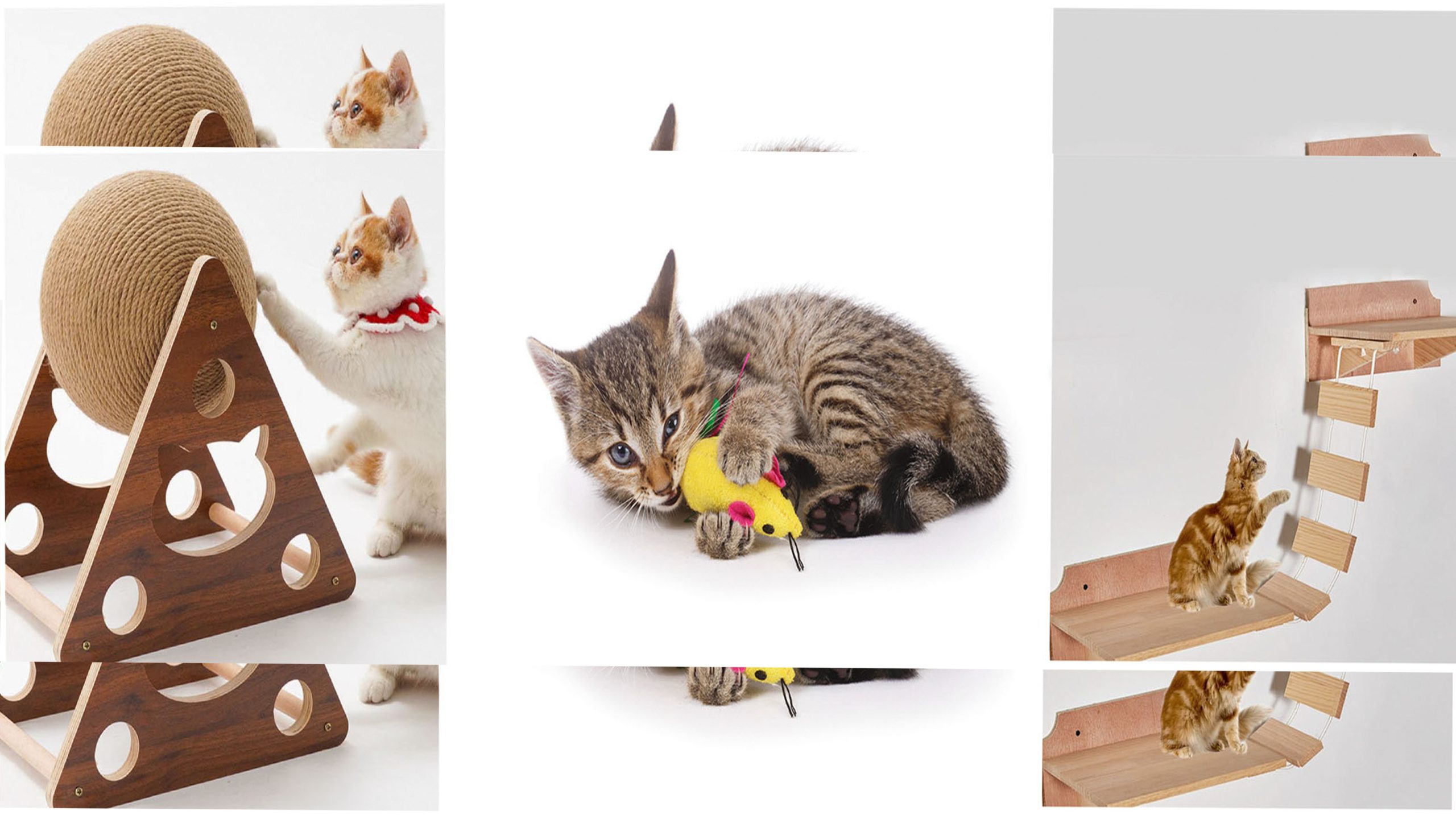 jouet-chat