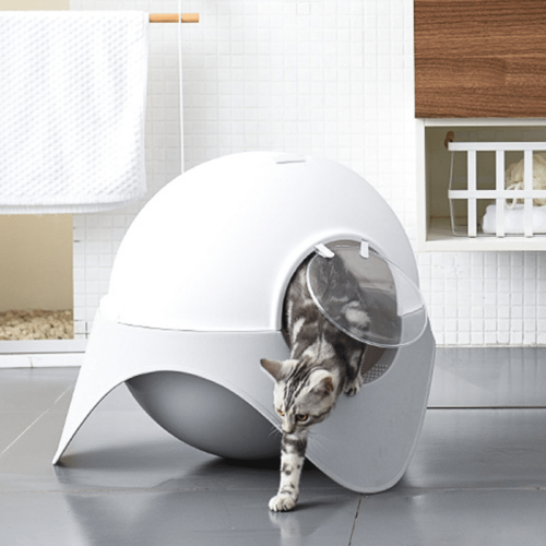 litière-pour-chat