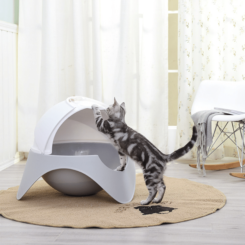litière-pour-chat