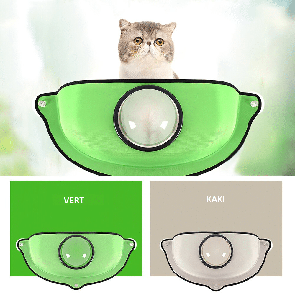Hamac chat fenêtre