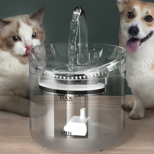 fontaine-a-eau-automatique