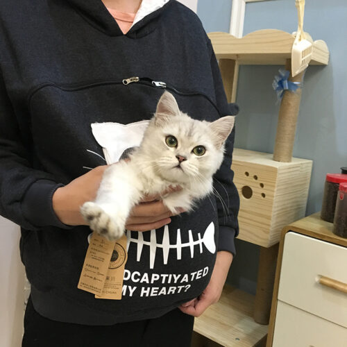 sweat porte chat