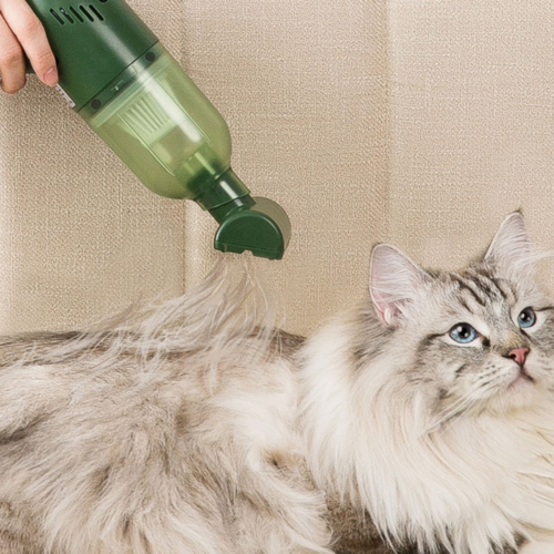 Aspirateur pour Poil de Chat