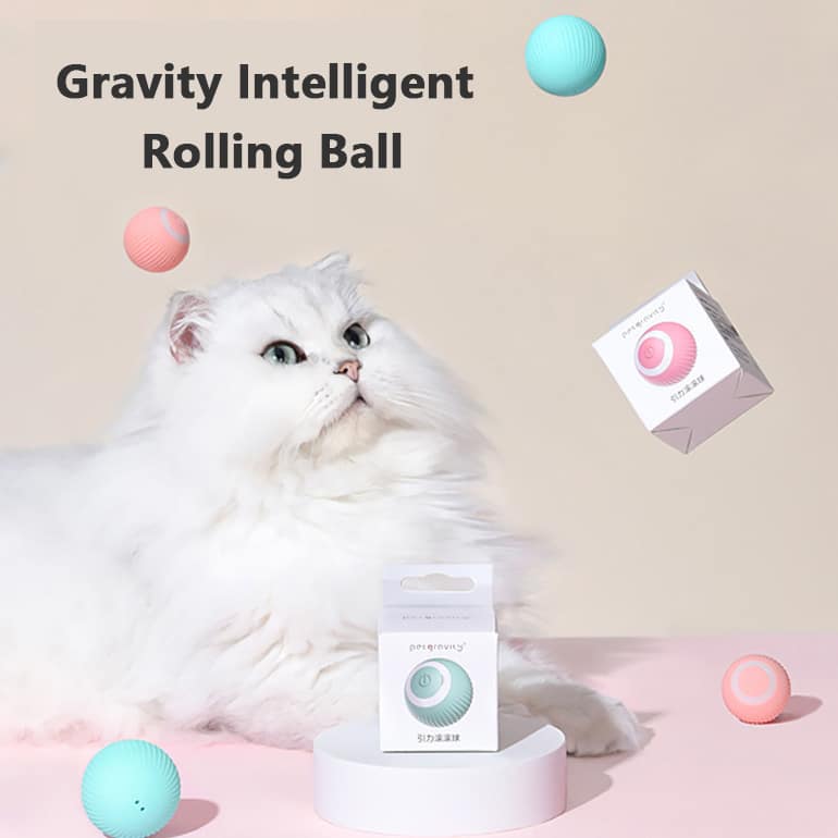 Balle pour chat qui roule toute seule