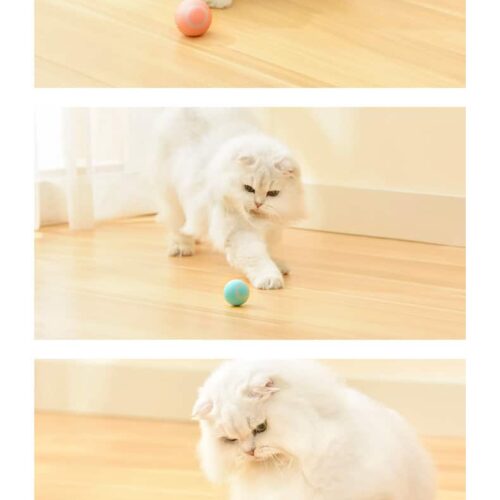 Balle pour chat qui roule toute seule