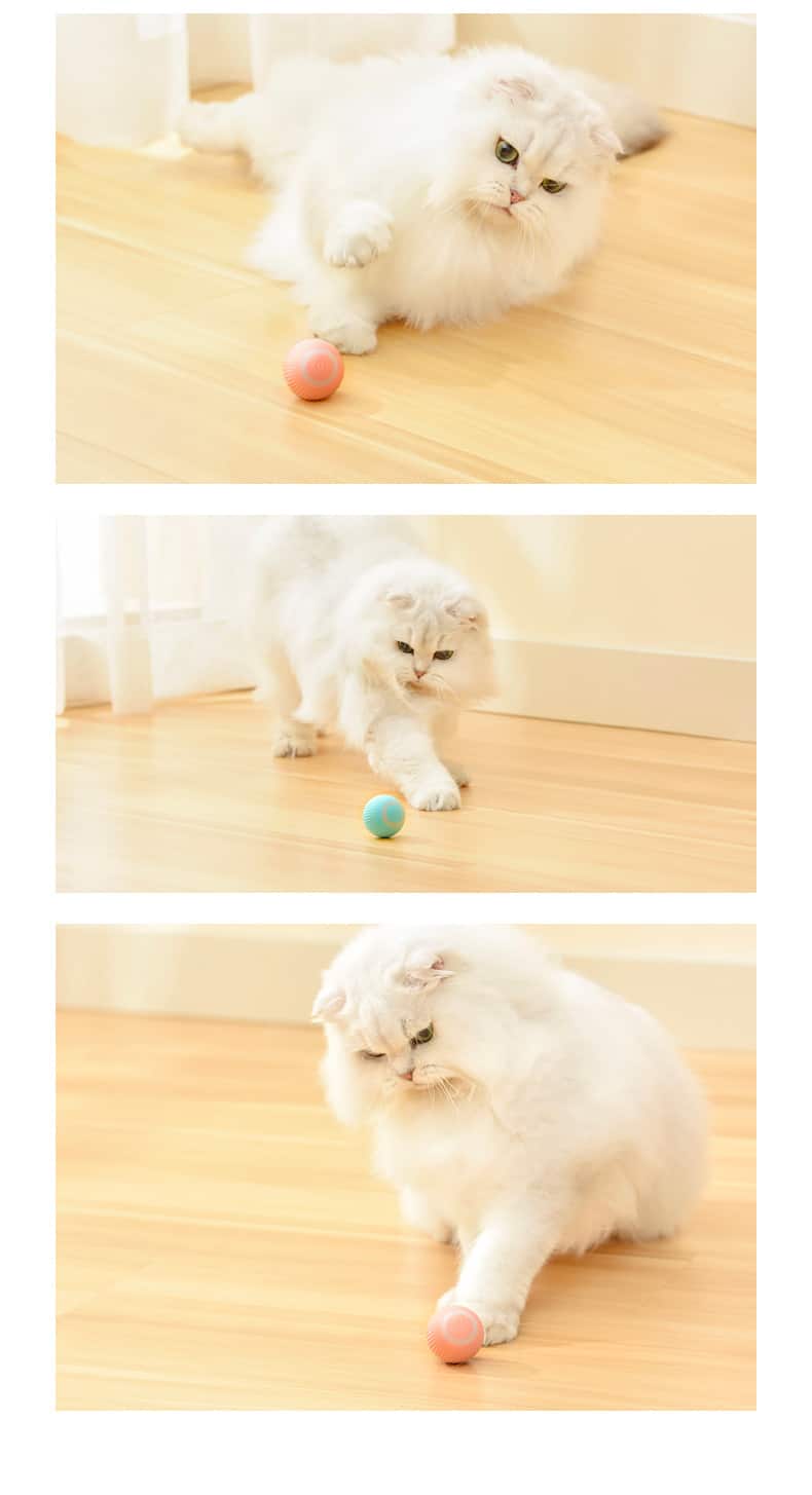 Balle pour chat qui roule toute seule