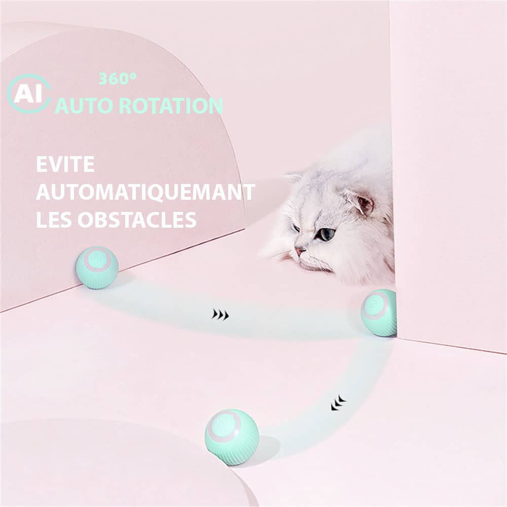 Balle pour chat qui roule toute seule