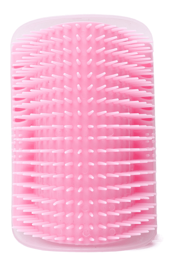 Brosse Chat à angle