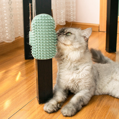 Grattoir d'angle pour Chat
