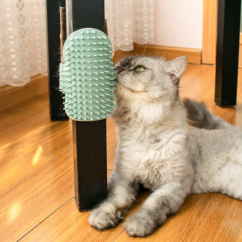Grattoir d'angle pour Chat