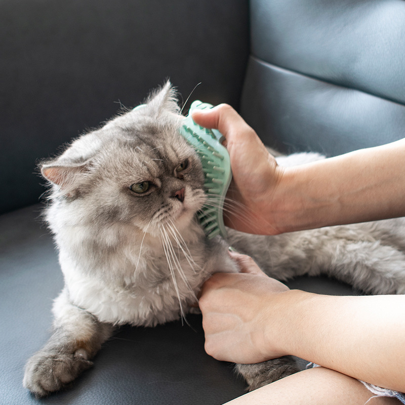 Grattoir d'angle pour Chat