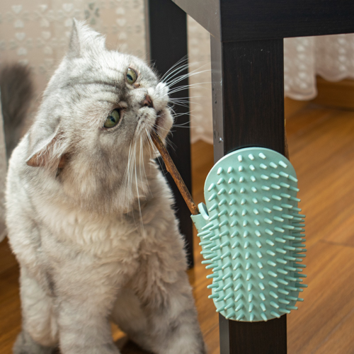 Grattoir d'angle pour Chat