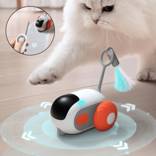 Jouet pour Chat interactif