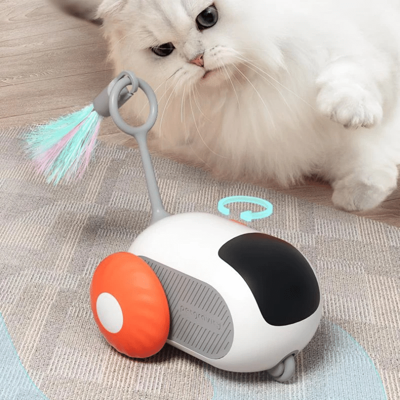 Jouet pour Chat interactif