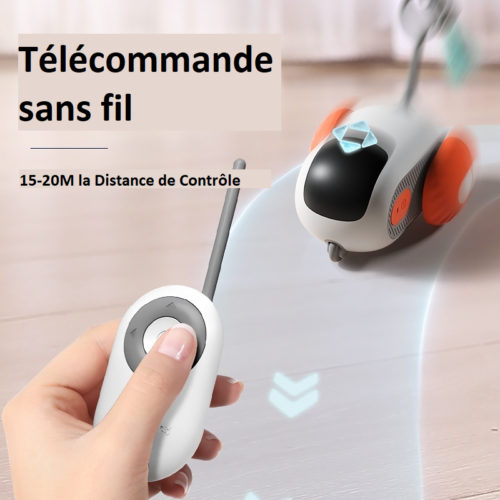 Jouet pour Chat interactif