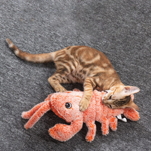 homard électrique sautant
