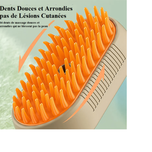 Brosse à Vapeur Pour Chat