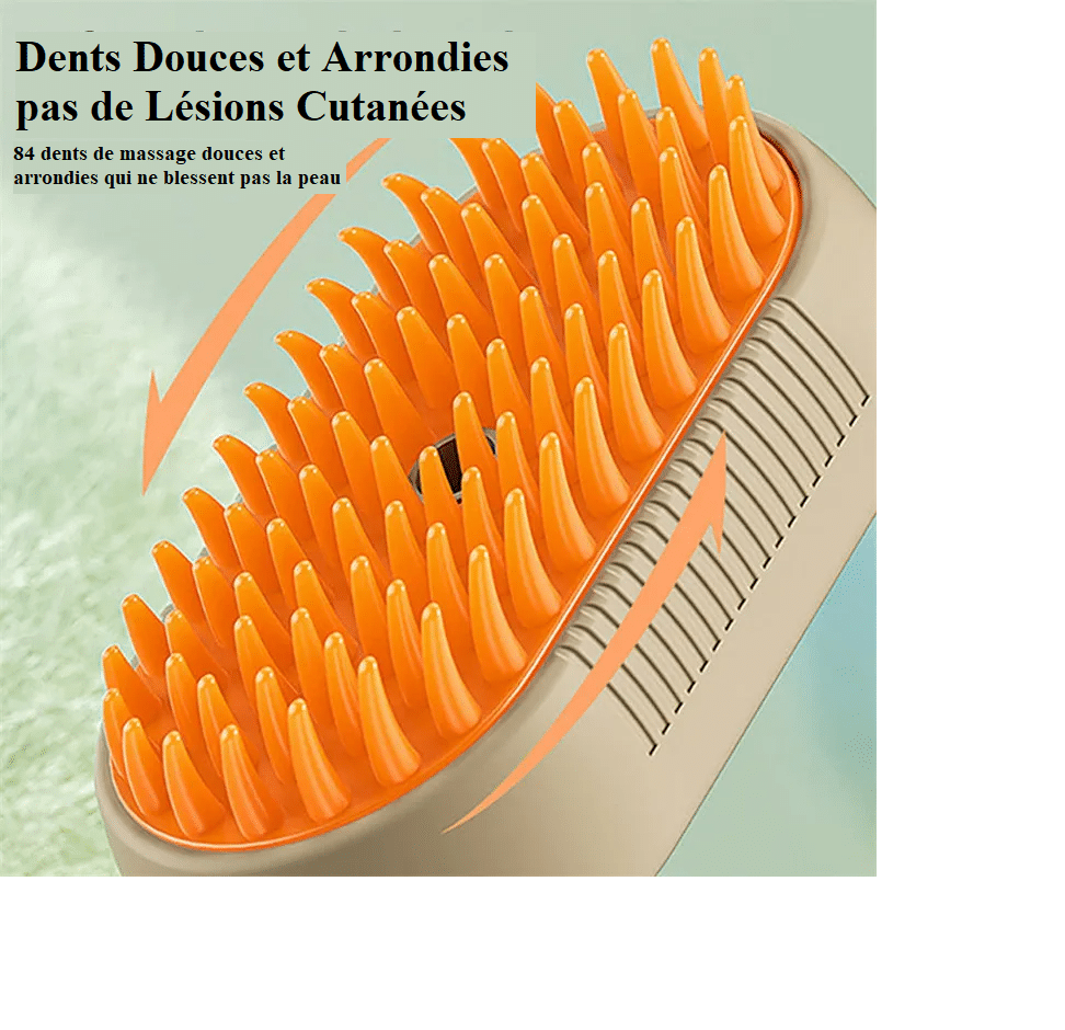 Brosse à Vapeur Pour Chat