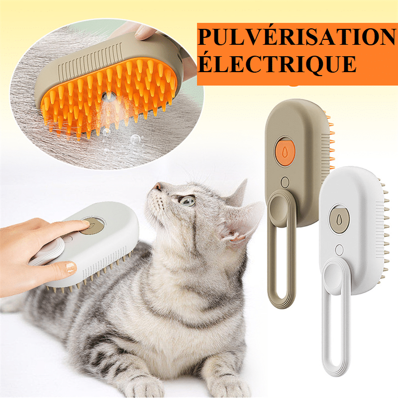Brosse à Vapeur Pour Chat