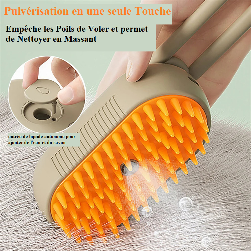 Brosse à Vapeur Pour Chat